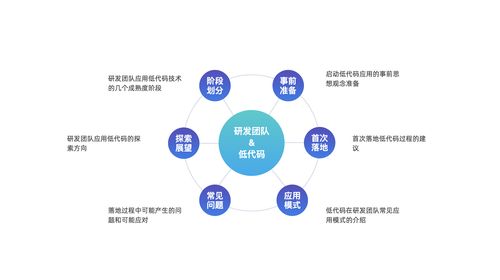 低代碼技術(shù)在研發(fā)團(tuán)隊(duì)的應(yīng)用模式探討 賦能計(jì)算機(jī)軟硬件開發(fā)的效率革命